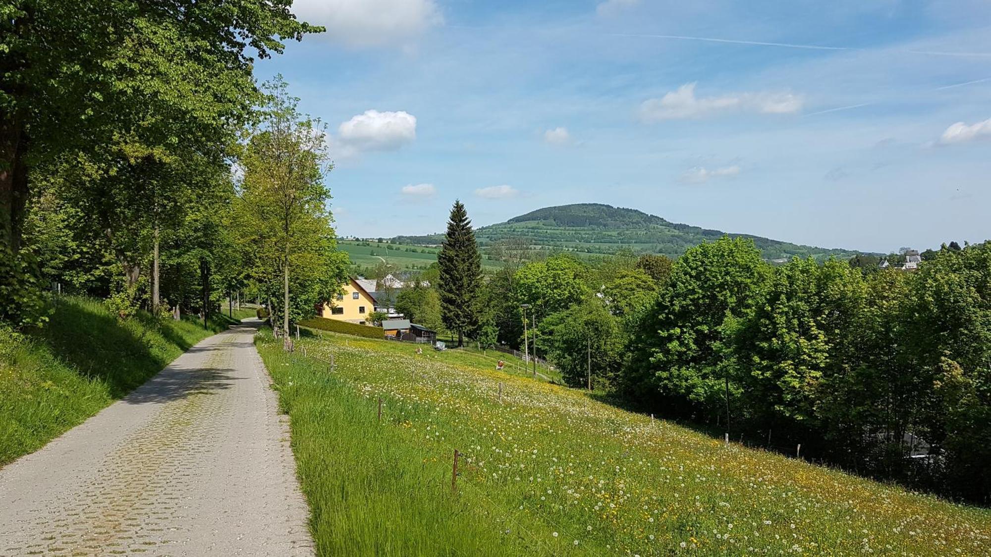 Waldhufenidyll Koenigswalde Im Erzgebirge Apartment Konigswalde Exterior photo